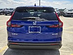 Used 2025 Honda CR-V EX-L in DAVIE, FLORIDA (Photo 6)