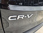 Used 2024 Honda CR-V EX-L in DAVIE, FLORIDA (Photo 14)