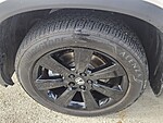 Used 2025 Honda Pilot BLACK EDITION in DAVIE, FLORIDA (Photo 10)