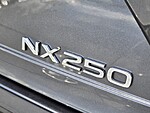 Used 2024 LEXUS NX NX 250 FWD in DAVIE, FLORIDA (Photo 10)