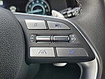 Used 2025 HYUNDAI PALISADE CALLIGRAPHY NIGHT EDITION AWD in DAVIE, FLORIDA (Photo 21)