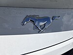 Used 2024 FORD MUSTANG ECOBOOST in PLANTATION, FLORIDA (Photo 8)