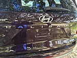 Used 2023 HYUNDAI PALISADE CALLIGRAPHY in PLANTATION, FLORIDA (Photo 10)