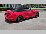 Used 2023 FORD MUSTANG ECOBOOST PREMIUM CONVERTIBLE in PEMBROKE PINES, FLORIDA (Photo 33)