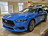 Used 2024 FORD MUSTANG ECOBOOST PREMIUM FASTBACK in PEMBROKE PINES, FLORIDA