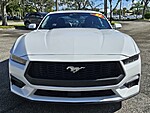 Used 2025 FORD MUSTANG ECOBOOST FASTBACK in PEMBROKE PINES, FLORIDA (Photo 11)