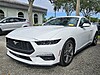 Used 2025 FORD MUSTANG ECOBOOST FASTBACK in PEMBROKE PINES, FLORIDA