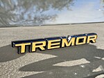 Used 2025 FORD EXPEDITION TREMOR 4X4 in PEMBROKE PINES, FLORIDA (Photo 19)