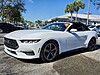 Used 2024 FORD MUSTANG ECOBOOST PREMIUM CONVERTIBLE in PEMBROKE PINES, FLORIDA