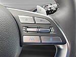 New 2025 HYUNDAI PALISADE CALLIGRAPHY NIGHT EDITION in PLANTATION, FLORIDA (Photo 13)
