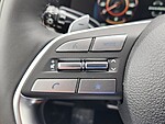 New 2025 HYUNDAI PALISADE CALLIGRAPHY NIGHT EDITION AWD in DAVIE, FLORIDA (Photo 13)