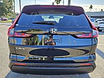 New 2026 Honda CR-V EX-L in FT. PIERCE, FLORIDA (Photo 6)