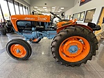 Used 1961 LAMBORGHINI TRACTOR 2241R TRACTOR - (COLLECTOR SERIES) in JACKSONVILLE, FLORIDA (Photo 2)