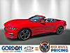 Used 2024 FORD MUSTANG ECOBOOST PREMIUM CONVERTIBLE in ORANGE PARK, FLORIDA