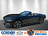 Used 2024 FORD MUSTANG ECOBOOST PREMIUM CONVERTIBLE in ORANGE PARK, FLORIDA