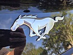 Used 2024 FORD MUSTANG ECOBOOST PREMIUM FASTBACK in ORANGE PARK, FLORIDA (Photo 17)