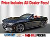 Used 2025 FORD MUSTANG ECOBOOST PREMIUM CONVERTIBLE in ORANGE PARK, FLORIDA