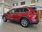 Used 2023 Honda CR-V EX AWD in JACKSONVILLE, FLORIDA (Photo 6)