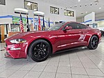 Used 2019 FORD MUSTANG GT PREMIUM FASTBACK in JACKSONVILLE, FLORIDA (Photo 1)