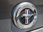 Used 2011 FORD MUSTANG V6 in JACKSONVILLE, FLORIDA (Photo 14)