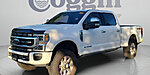 Used 2021 FORD F-250 PLATINUM in JACKSONVILLE, FLORIDA