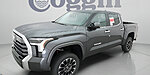 New 2026 TOYOTA TUNDRA LIMITED in JACKSONVILLE, FLORIDA