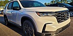 New 2025 Honda Pilot SPORT in JACKSONVILLE, FLORIDA