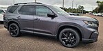 New 2025 Honda Pilot BLACK EDITION in JACKSONVILLE, FLORIDA