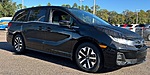 New 2026 Honda Odyssey EX-L in JACKSONVILLE, FLORIDA