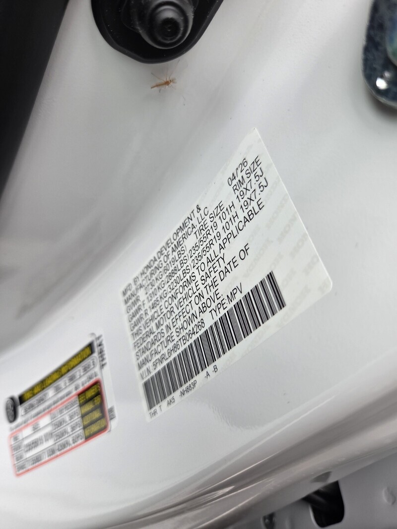 New 2026 Honda Odyssey TOURING in JACKSONVILLE, FLORIDA