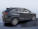 Used 2021 LEXUS NX NX 300 in JACKSONVILLE, FLORIDA (Photo 6)