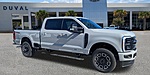 New 2026 FORD F-250 PLATINUM in JACKSONVILLE, FLORIDA