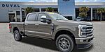 New 2026 FORD F-250 PLATINUM in JACKSONVILLE, FLORIDA