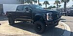 New 2026 FORD F-250 DEAD WOOD in JACKSONVILLE, FLORIDA