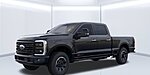 New 2026 FORD F-250 PLATINUM in JACKSONVILLE, FLORIDA