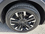 Used 2025 KIA TELLURIDE SX in JACKSONVILLE, FLORIDA (Photo 9)