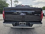 Used 2025 FORD F-150 XLT in JACKSONVILLE, FLORIDA (Photo 6)
