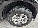 Used 2025 FORD F-150 XLT in JACKSONVILLE, FLORIDA (Photo 9)