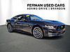 Used 2024 FORD MUSTANG GT PREMIUM FASTBACK in BRANDON, FLORIDA