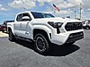 Used 2024 TOYOTA TACOMA TRD SPORT in TARPON SPRINGS, FLORIDA