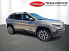 Used 2020 JEEP CHEROKEE TRAILHAWK 4X4 in LUTZ, FLORIDA