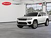 New 2025 JEEP GRAND CHEROKEE LAREDO 4X2 in LUTZ, FLORIDA