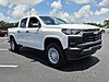 New 2026 CHEVROLET COLORADO 2WD CREW CAB WT in TARPON SPRINGS, FLORIDA
