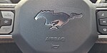 Used 2025 FORD MUSTANG GT Fastback in TAMPA, FLORIDA