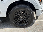 Used 2025 FORD F-150 PLATINUM 4WD SUPERCREW 5.5' BOX in LAKE PARK, FLORIDA (Photo 17)