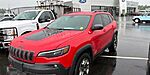 Used 2019 JEEP CHEROKEE TRAILHAWK in CUMMING, GEORGIA