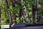 Used 2024 CHEVROLET SILVERADO 2500 HIGH COUNTRY (Photo 9)