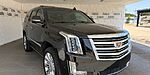 Used 2017 CADILLAC ESCALADE PLATINUM EDITION in HAMMOND, LOUISIANA