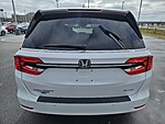 Used 2024 Honda Odyssey ELITE AUTO in LUMBERTON, NORTH CAROLINA (Photo 6)