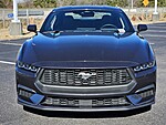 Used 2024 FORD MUSTANG ECOBOOST FASTBACK in LUMBERTON, NORTH CAROLINA (Photo 2)